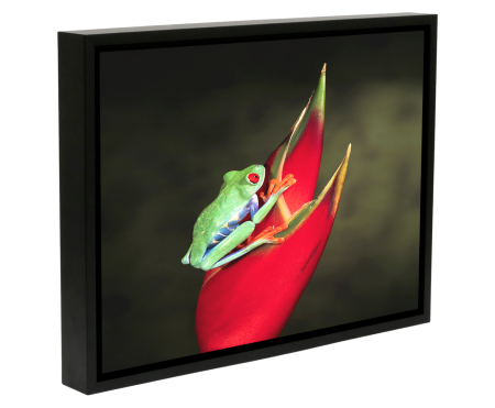 Black floating frame canvas print on cream background