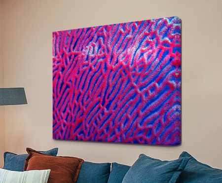 Abstract coral pattern in vivid pink and cobalt blue