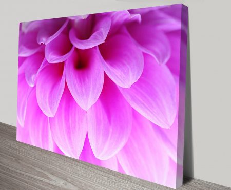 Ethereal Petals Floral framed print, abstract gallery artwork