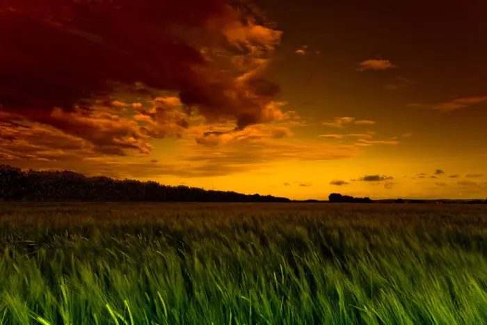 Green Fields Sm fine art print, scenic cityscape artwork