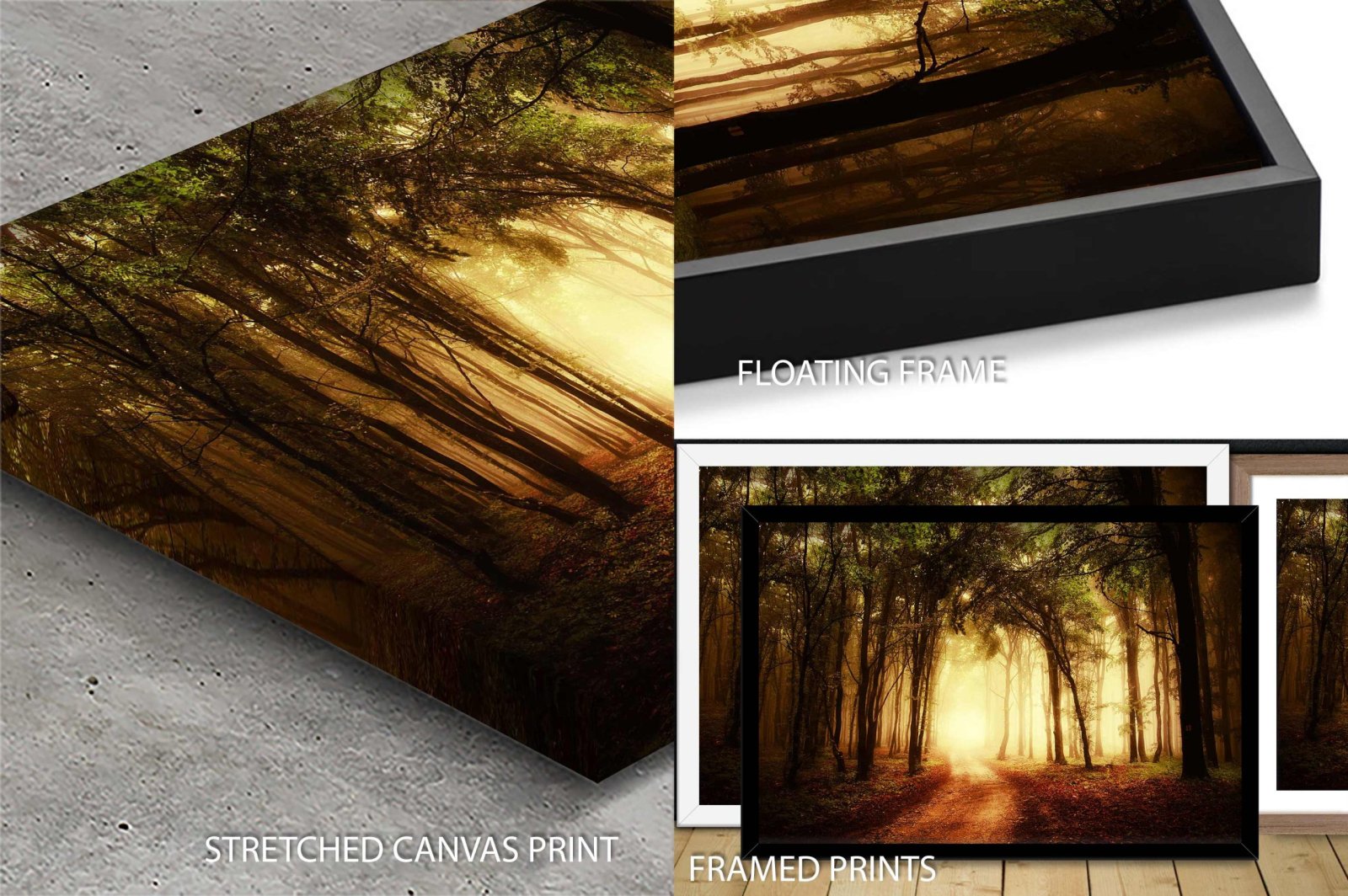 Fine art print of a misty enchanted forest with light filtering through tall trees