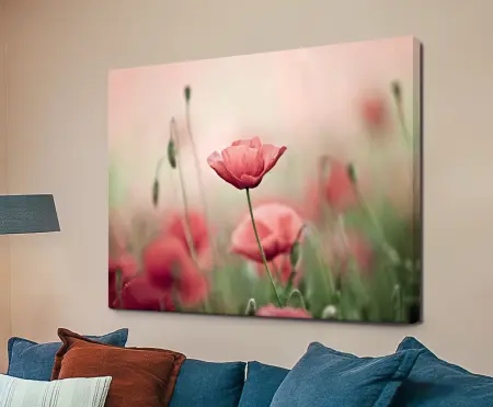 Poppy Haze: timeless museum-quality print crafted in Australia, satin canvas, dispatched Australia-wide.