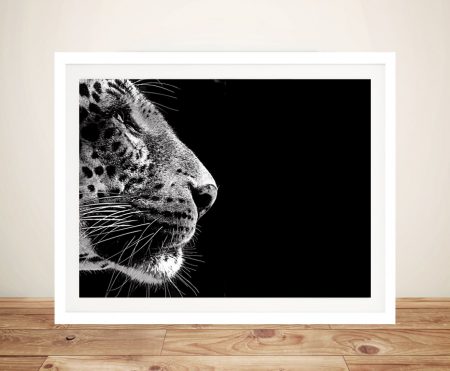 Stare Leopard fine art print, natural-history wildlife artwork