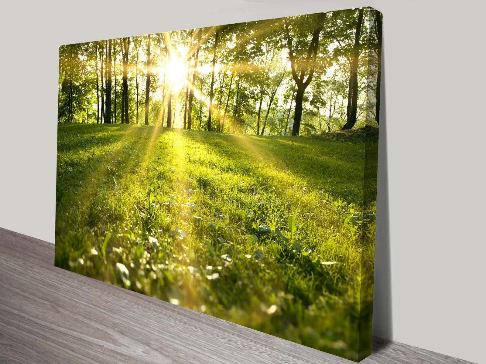 Canvas print of Sunlit Meadows, soft green and gold field tones