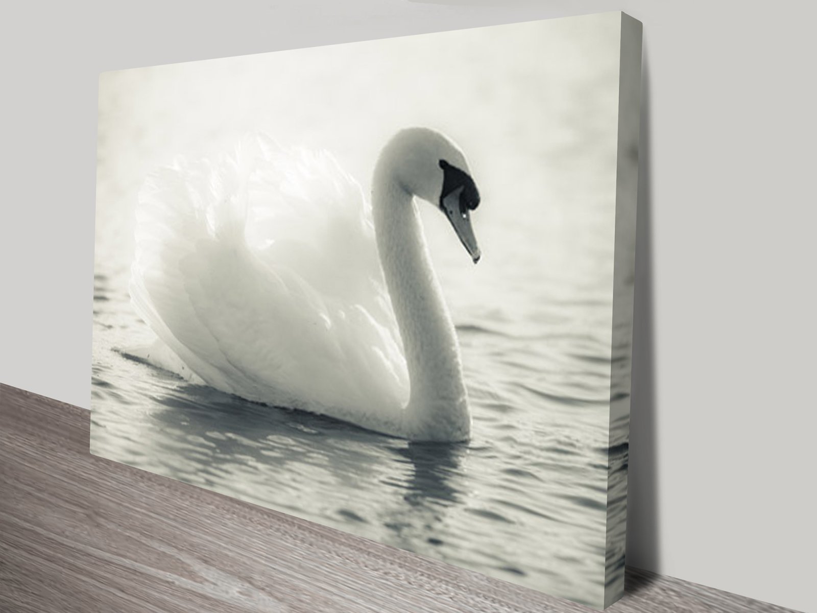 Swan Lake Black and White Canvas Wall Art