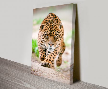 Hunting Jaguar Sm framed print, natural-history wildlife artwork