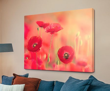 abstract composition | Poppy Glaze — geometric canvas, bold and ready to hang