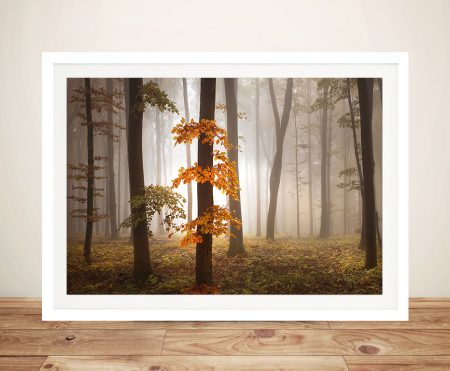 Wispy Woods canvas print, coastal landscape artwork