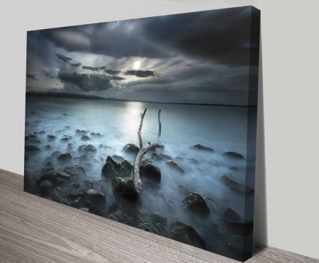 Canvas print of driftwood on a beach, soft neutral coastal tones