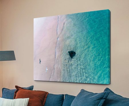 Matt Day Stingray Bird print with striking coastal-nature styling