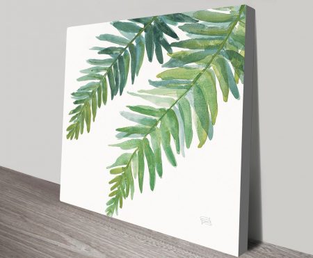 Canvas print of fern fronds, soft green botanical detail