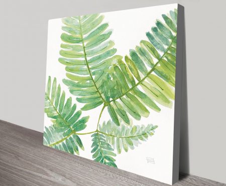 Canvas print of fern fronds, fresh green leafy detail