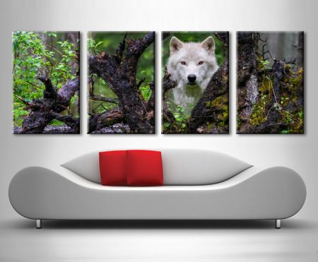 White Wol Wolf Quad framed print, animal portrait artwork