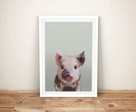 Piglet portrait canvas, charming close-up of a little pink piglet