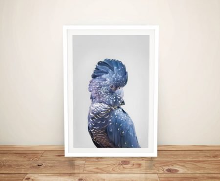 Peekaboos blue cockatoo animal portrait print framed in clean white and propped on warm oak boards