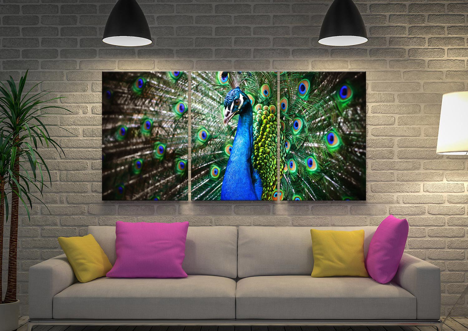 Canvas print of an Amazing Peacock triptych, electric teal and gold for a Perth lounge