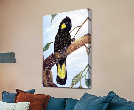 Linda Callaghan black cockatoo on canvas, dark plumage with yellow tail