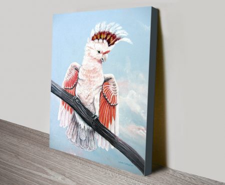 Major Mitchell cockatoo by Linda Callaghan animal art canvas of pink white cockatoo on branch against blue sky