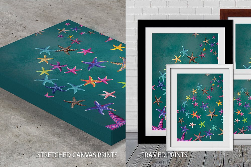 Colourful starfish artwork by Karin Roberts shown as stretched canvas and framed prints on teal background