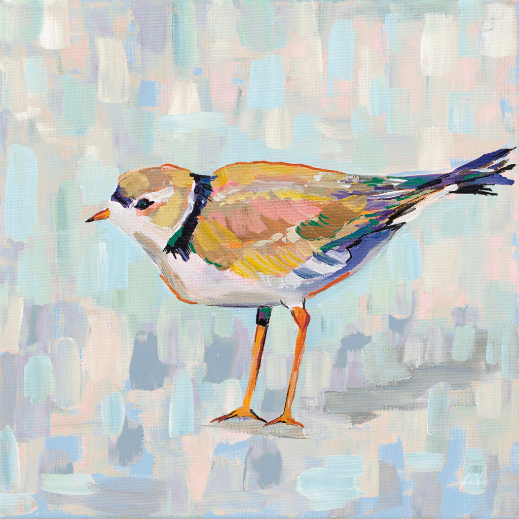 Coastal Plover Neutral IV animal portrait print painted shorebird pastel brushwork