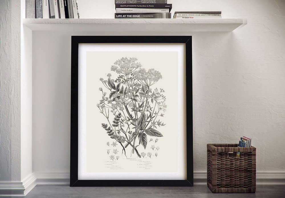 Flowering Plants I Floral Art Canvas Print | Canvas Prints Perth