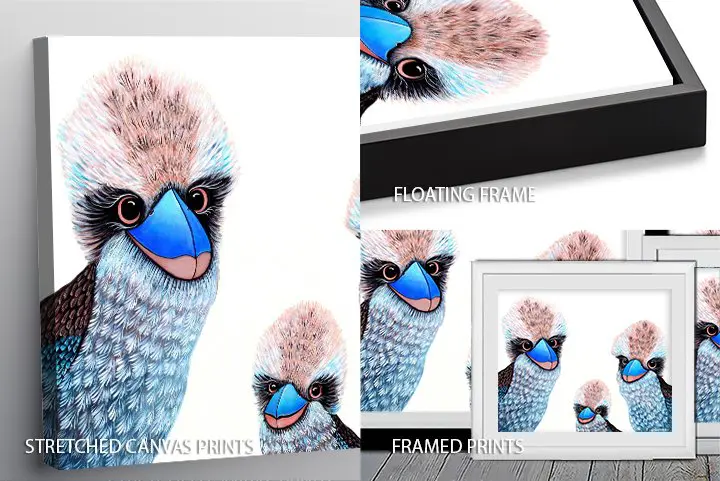 Quirky kookaburras in a playful characterful design