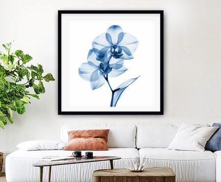 Soft Focus Orchid on canvas — bold, contemporary abstract and hand-stretched