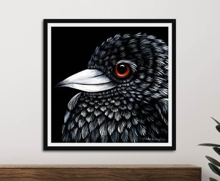 Magpie Baby canvas, soft young magpie in crisp grey-and-white with warm character