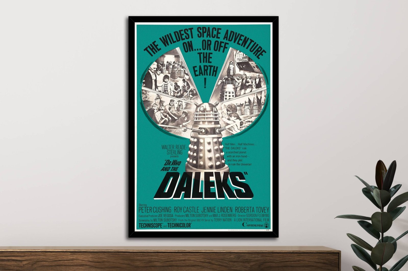 Dr Who and the Daleks framed poster print on white wall above timber console with rubber plant, teal artwork