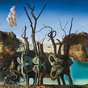 Salvador Dali on archival canvas, hand-finished by our Perth team for a true gallery feel.