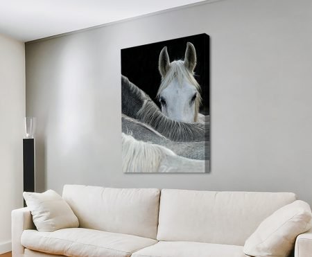 White horse looking forward from a herd, on stretched canvas hung above a cream couch in a modern lounge with shutters