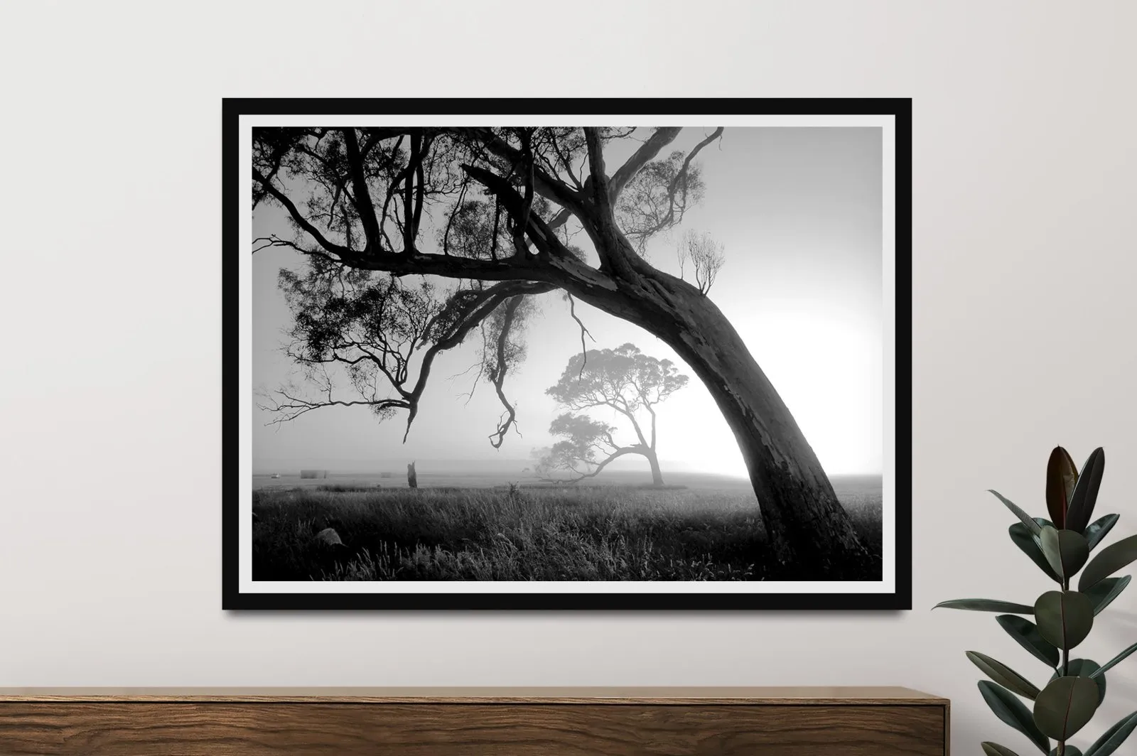 A framed canvas print of Trees at Sunrise showing two arching trees standing in a mist‑filled field, their dark silhouettes contrasting with the pale morning glow, creating a tranquil artwork suited to gifting.