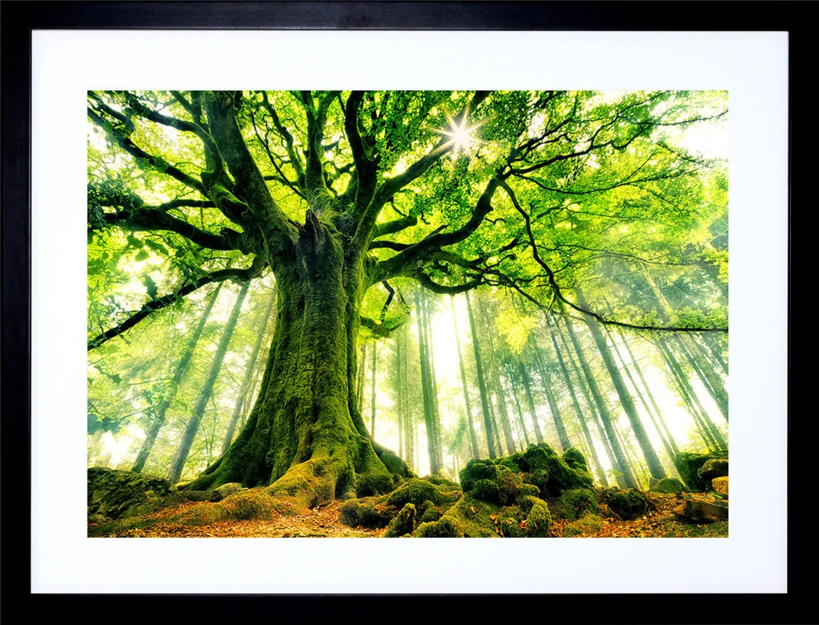 Framed paper print example — Canvas Prints Perth