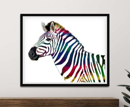 Canvas print of The Rainbow Striped Zebra