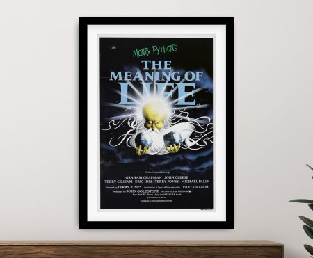 framed print of the The Meaning of Life Movie Poster